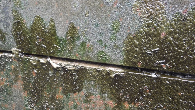 11.33am - slime  6-18-15