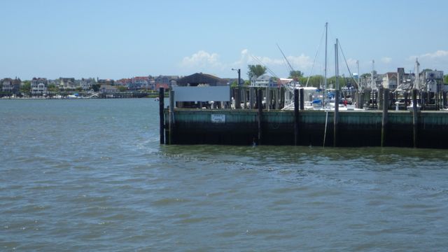 11.47am Utsch's marina  5-30-15