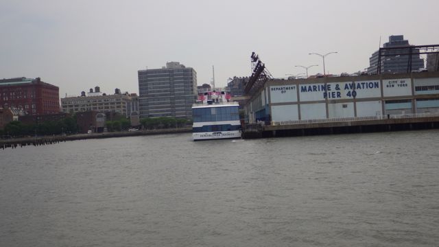 12.08pm - Pier 40 NY PINK trees- 6-12-15