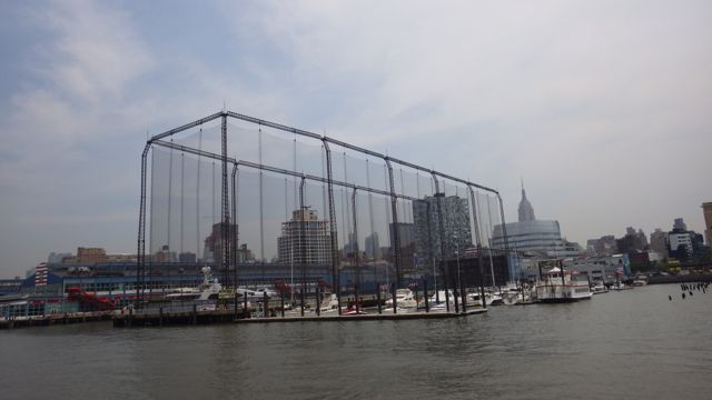 12.15pm B - cage?? NY 6-12-15