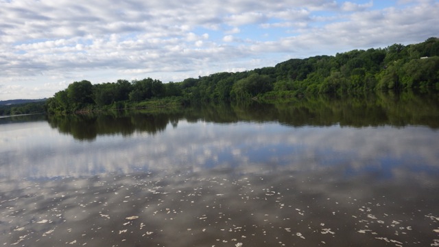7.19am - early morning river 6-20-15