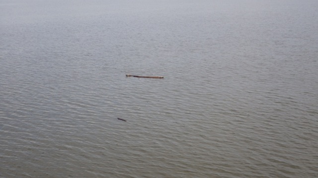 8.50am debris on the Hudson 6-14-15
