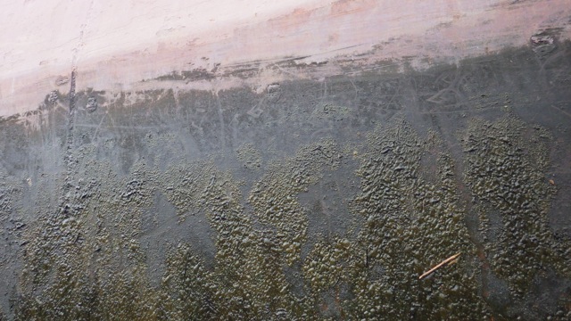 9.34am - slime!!  6-18-15