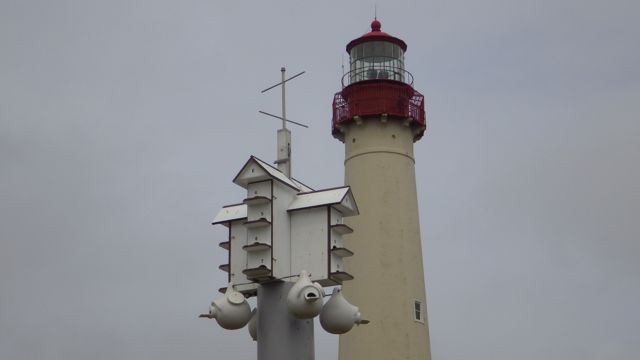 lighthouse with bird house 2 - 6-4-15