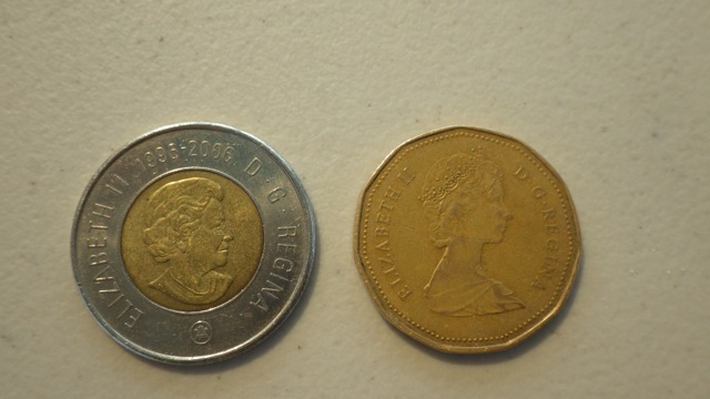 10.24am - toonie and loonie B 7-11-15