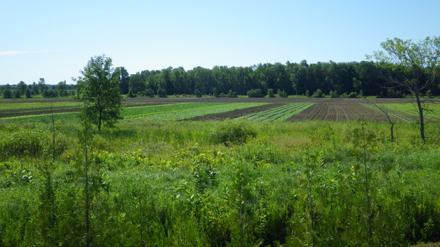10.49am - going to lock 41 - farmland in the distance B 7-23-15