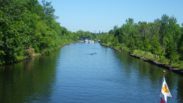 10.58am - geese in the way  7-20-15