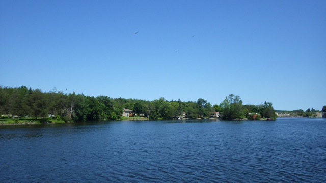 11.16am - still looking around  7-15-15