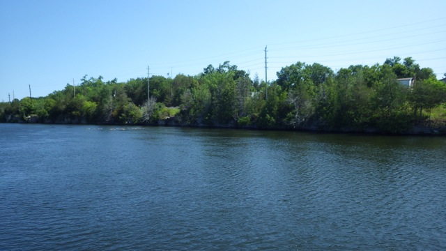 11.17am - scenery approaching lock 14  7-15-15