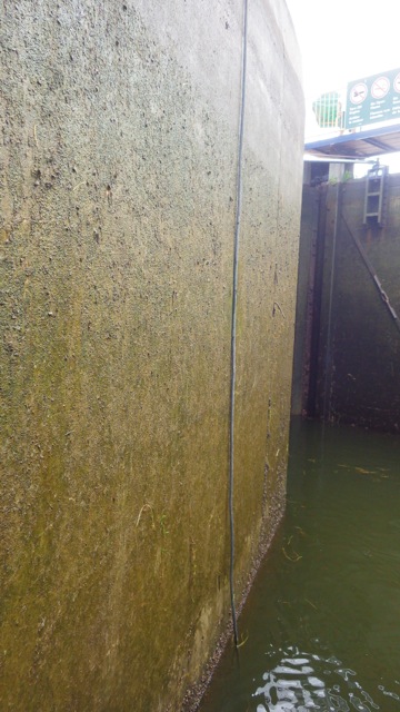 11.26am - cable in Lock 8  7-14-15