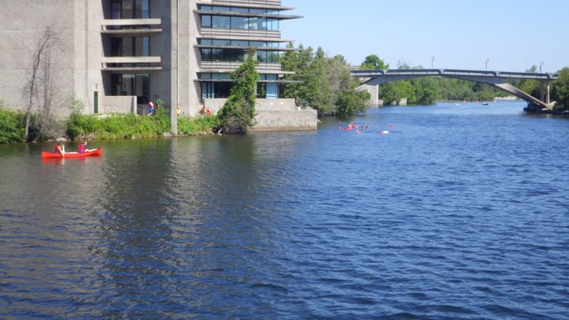 11.28am - more rowers  7-10-15