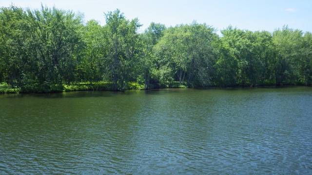 11.37am - scenry  - 7-16-15