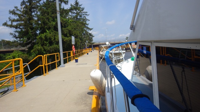 11.44am - along the lock wall  7-7-15