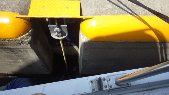 11.44am - cable below our deck  7-7-15