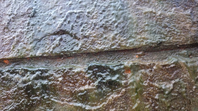 13.07 - 1.07pm slime on wall primordial ooze  7-7-15