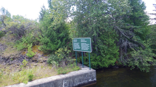 13.23 - 1.23pm - securitee sign   7-22-15