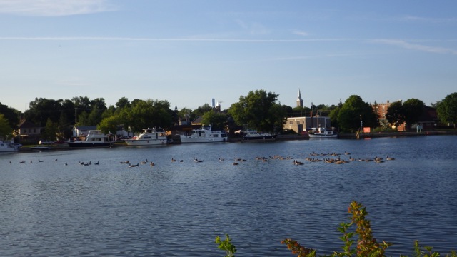19.12  - 7.12pm geese crossing over - line   7-15-15
