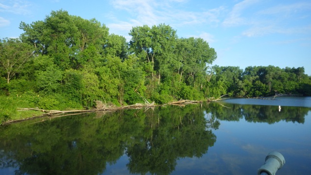 7.04am - debris at spillway  6-26-15