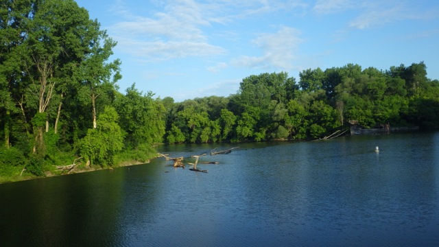 7.05am - tree debris at spillway  6-26-15