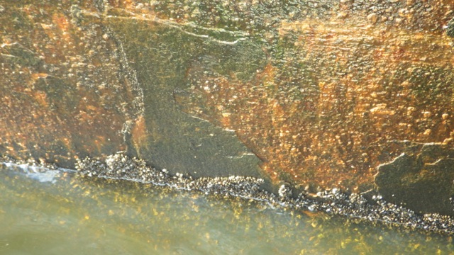 8.53am - waters edge  6-26-15