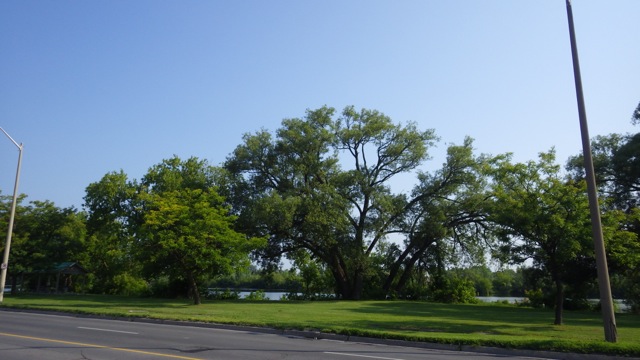 9.05am - park along the river - 7-11-15