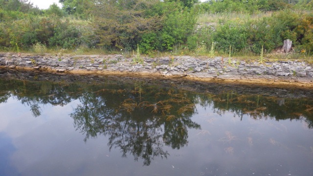 9.12am - growing stuff   7-14-15