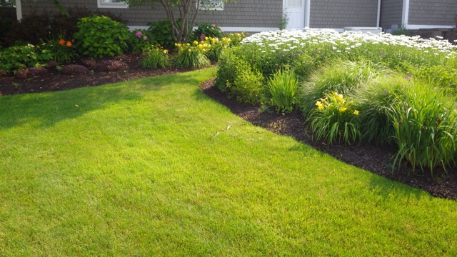 9.24am - Snake 3 - Winter Harbor