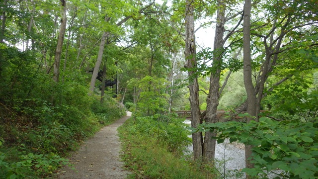 10.17am - trail near river 8-24-15