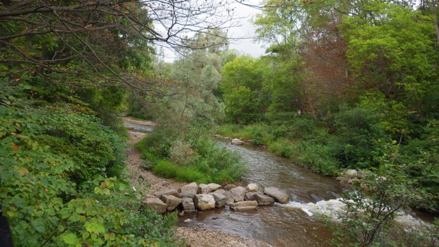 10.19am - lovely Bear River 8-24-15