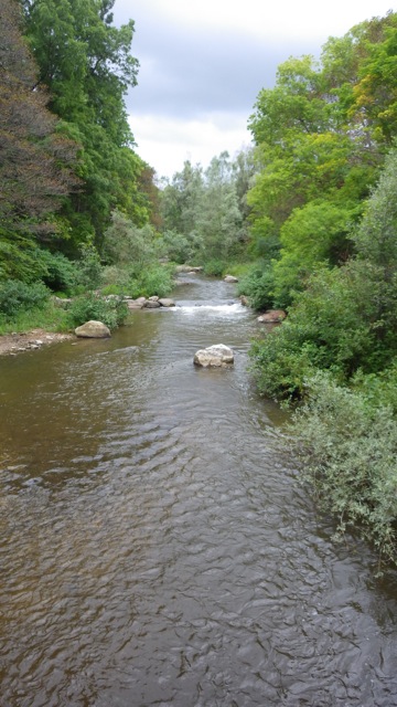 10.25am - little river near the marina 8-24-15