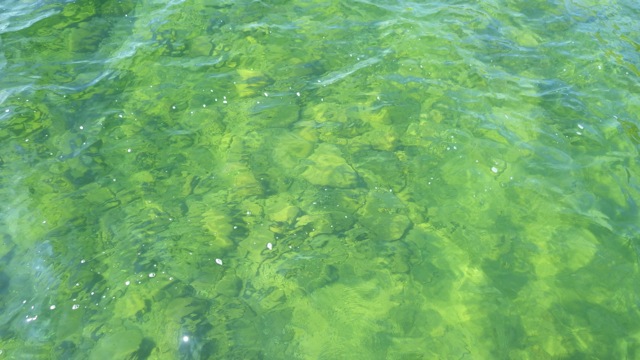 10.39am - Meldrum Bay Marina -clear water - 8-9-15