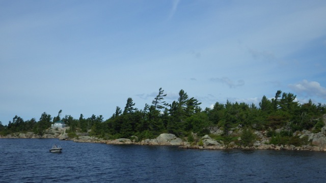 10.59am - trees bent - Byng Intlet 8-6-15