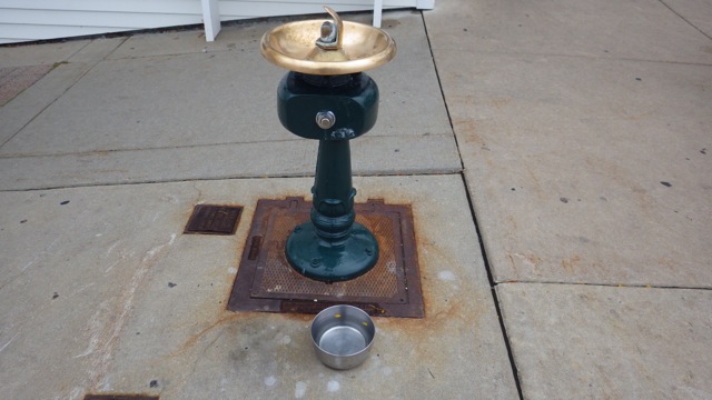 13.35 - 1.35pm - dog bowl near human founting 8-25-15