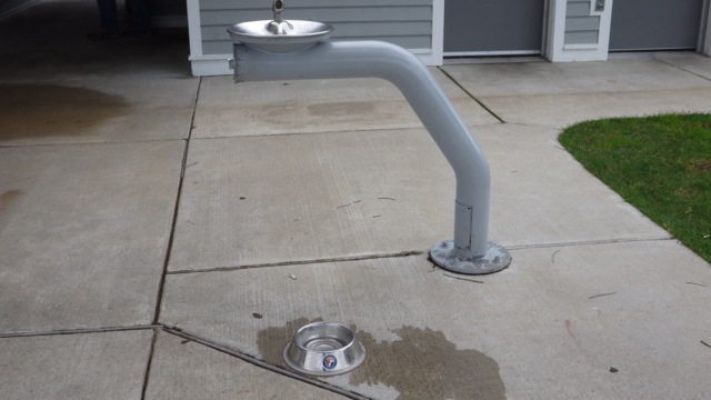 13.51 - 1.51pm - water fountain for folk and dog 8-25-15