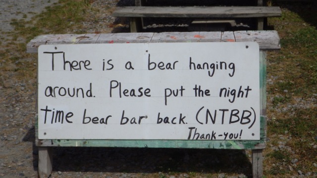14.30 - 2.30pm - Bear sign at trash can Killbear marina 8-1-15