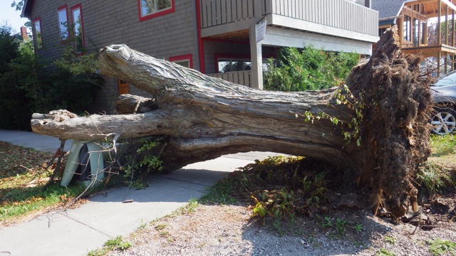 15.45 - 3.45pm - wind? tree fell 8-27-15