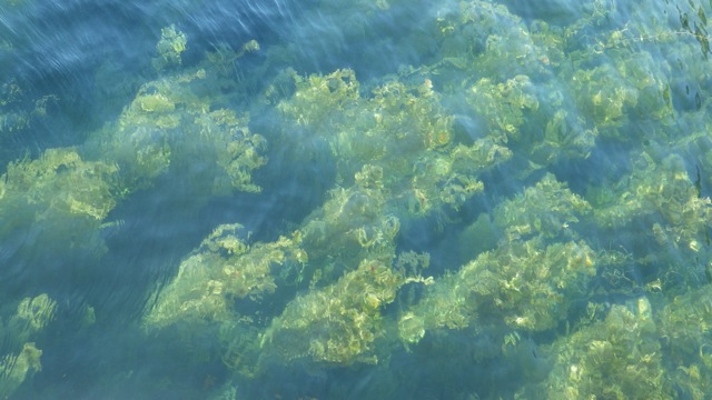 17.53 - 5.53pm - clear water below the boat 8-13-15