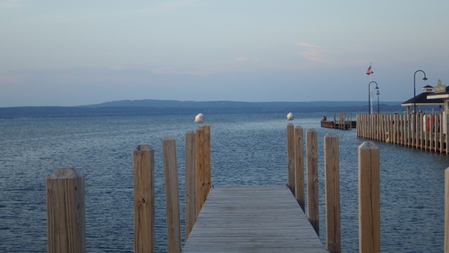 20.28 - 8.28 gulls squawking at me 8-16-15