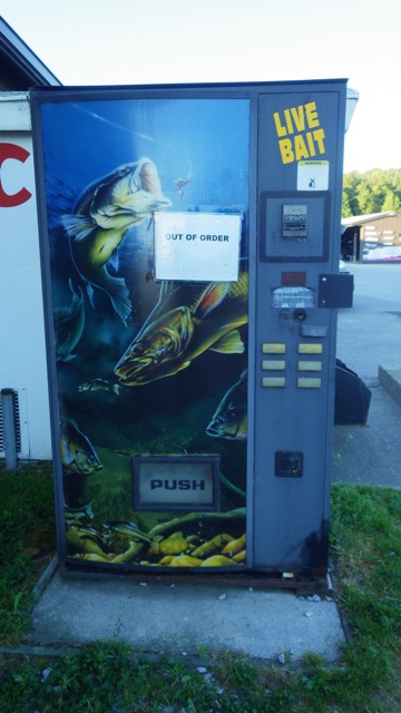 7.21am - Live bait Drummond Island 8-12-15