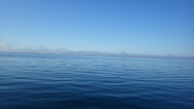 9.11am - fog or clouds? 8-15-15