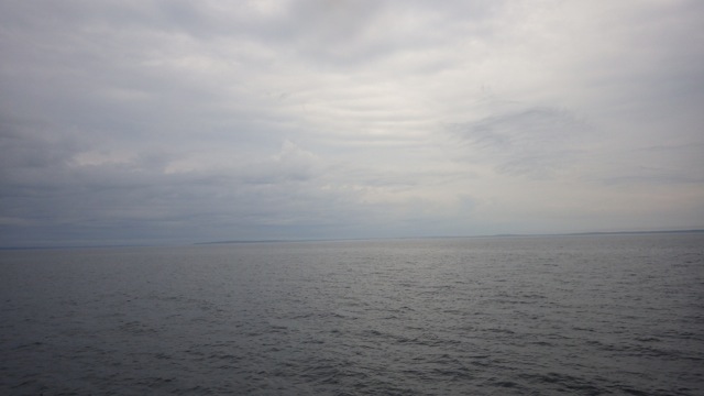 9.13am - another pic out the window 8-10-15