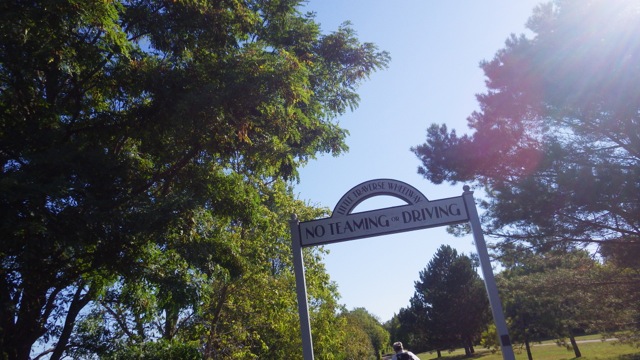 9.56am - no teaming or driving 8-23-15