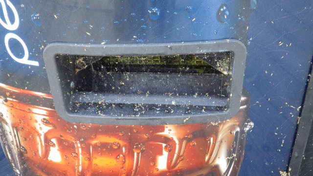 10.12am - thristy now?? 9-8-15