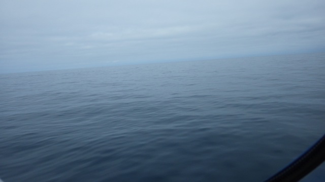 10.55am - really rolls only 9-04-15