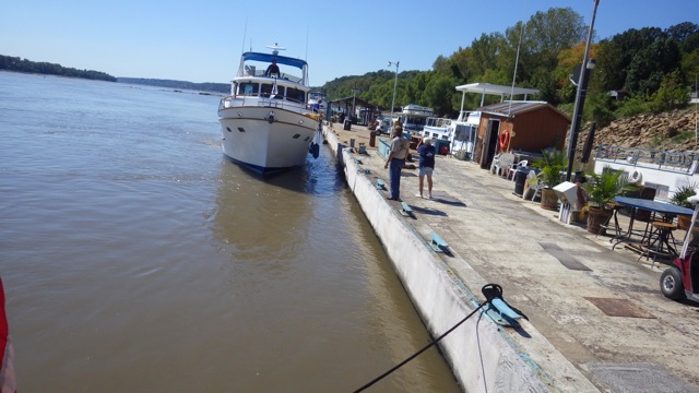 12.07pm - fern telling Looper how to dock 9-21-15