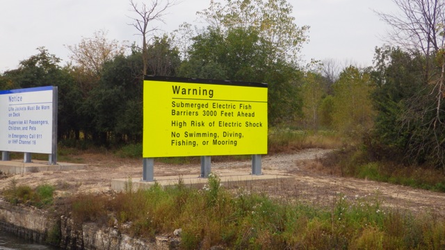 12.15 - 12.15pm - warning sign -electric fence 9-10-15