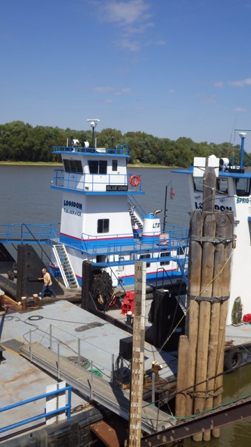 12.40pm - ruler again by the Tow 9-16-15