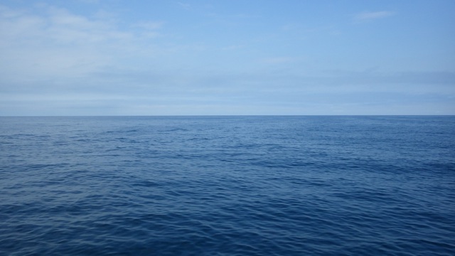 12.44pm - rolls with wind 9-04-15