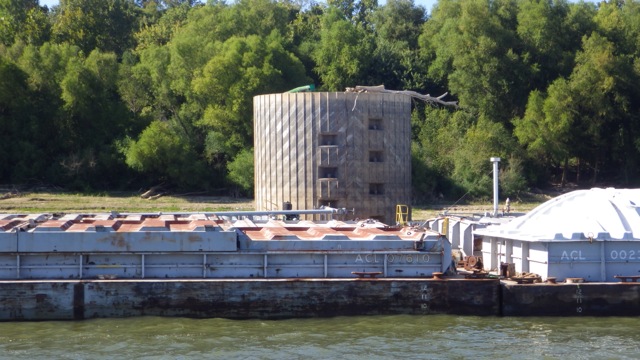 15.23 - 3.23pm - how did the tree get there? 9-23-15