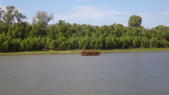 16.05- 4.05pm - duck blinds all along the river 9-17-15